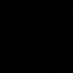 Meet your Posher, Ava